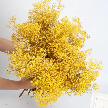 DriedFlowers-Babys-Breath-Puokštė 17,2 colio 2500+ gėlės, natūrali gipsofilija, sausos gėlės Biri vazos namų dekoravimui, vestuvės,