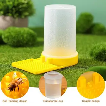 Bičių tiektuvas Bitininkystė Medaus bičių tiektuvai Geriamojo vandens dėžutė Skaidrus Skaidrus plastikinis bičių gėrimo įrankis Bičių maitinimo ištekliai