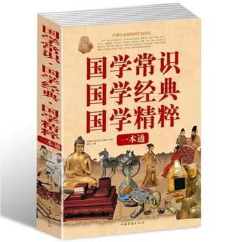 Sinologija Sveikas protas Sinologija Klasikinė literatūros knygos esmė Kinų aliuzija į visą idiomų istorijų rinkinį Legit